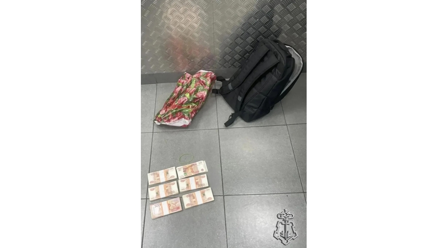 В Санкт-Петербурге наряд Росгвардии задержал дроппера, забравшего у пенсионерки около 3 миллионов рублей