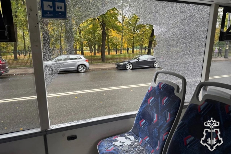 В центре Петербурга наряд Росгвардии задержал хулигана, устроившего погром в салоне троллейбуса