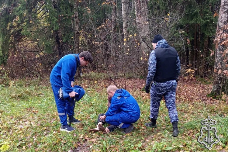 Росгвардейцы пришли на помощь женщине, получившей травму во время сбора грибов в одном из парков в Пушкине