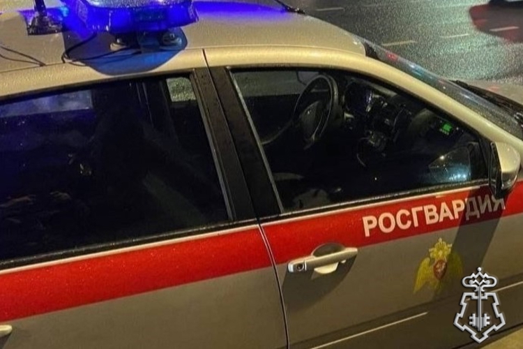 Петербургские росгвардейцы прибыли на место смертельного ДТП и задержали водителя иномарки